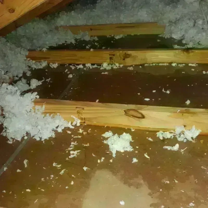 Attic Water Damage in Riverdale, IL