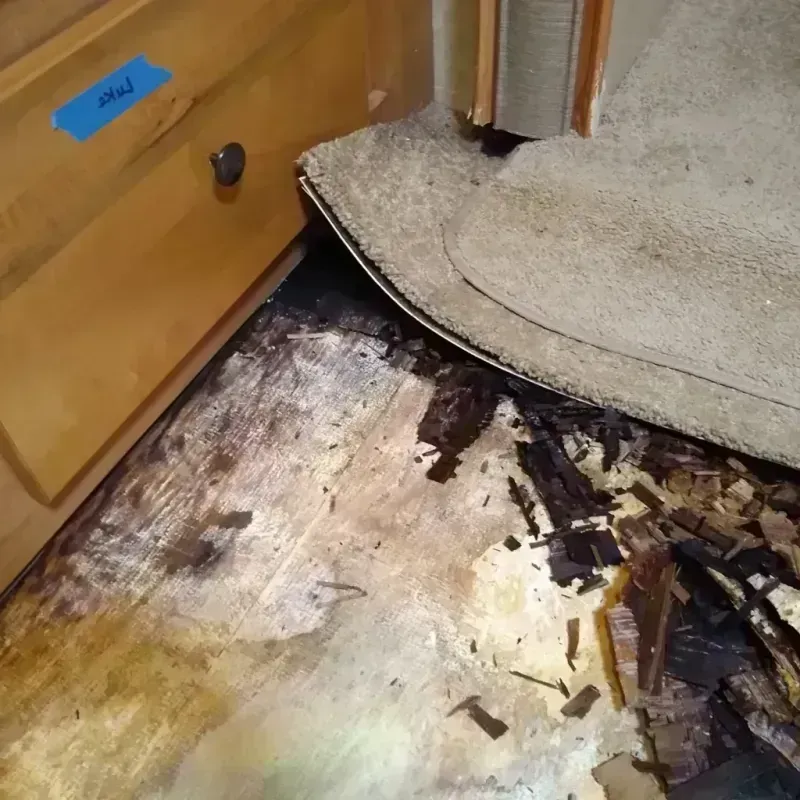 Wood Floor Water Damage in Riverdale, IL